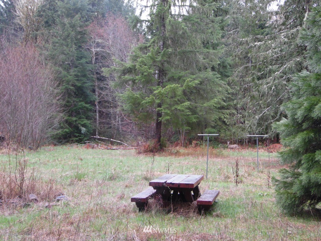 1011-7 Peters Road Randle, WA 98377 - Photo 8 of 12 Gallery Image 8