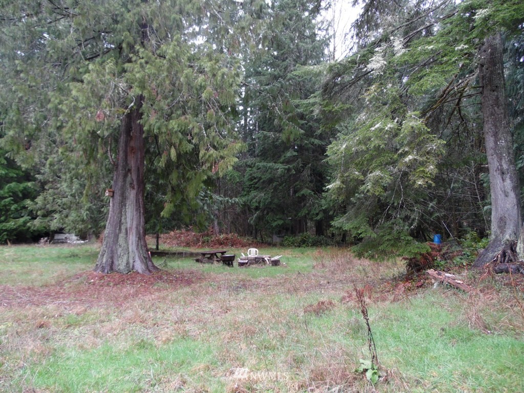 1011-7 Peters Road Randle, WA 98377 - Photo 10 of 12 Gallery Image 10