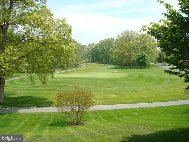 a view of a garden with a lake