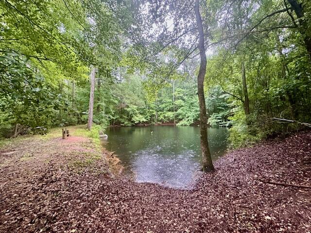 2125 Brown Road Hephzibah, GA 30815 - Photo 23 of 34 1/3 acre spring fed pond
