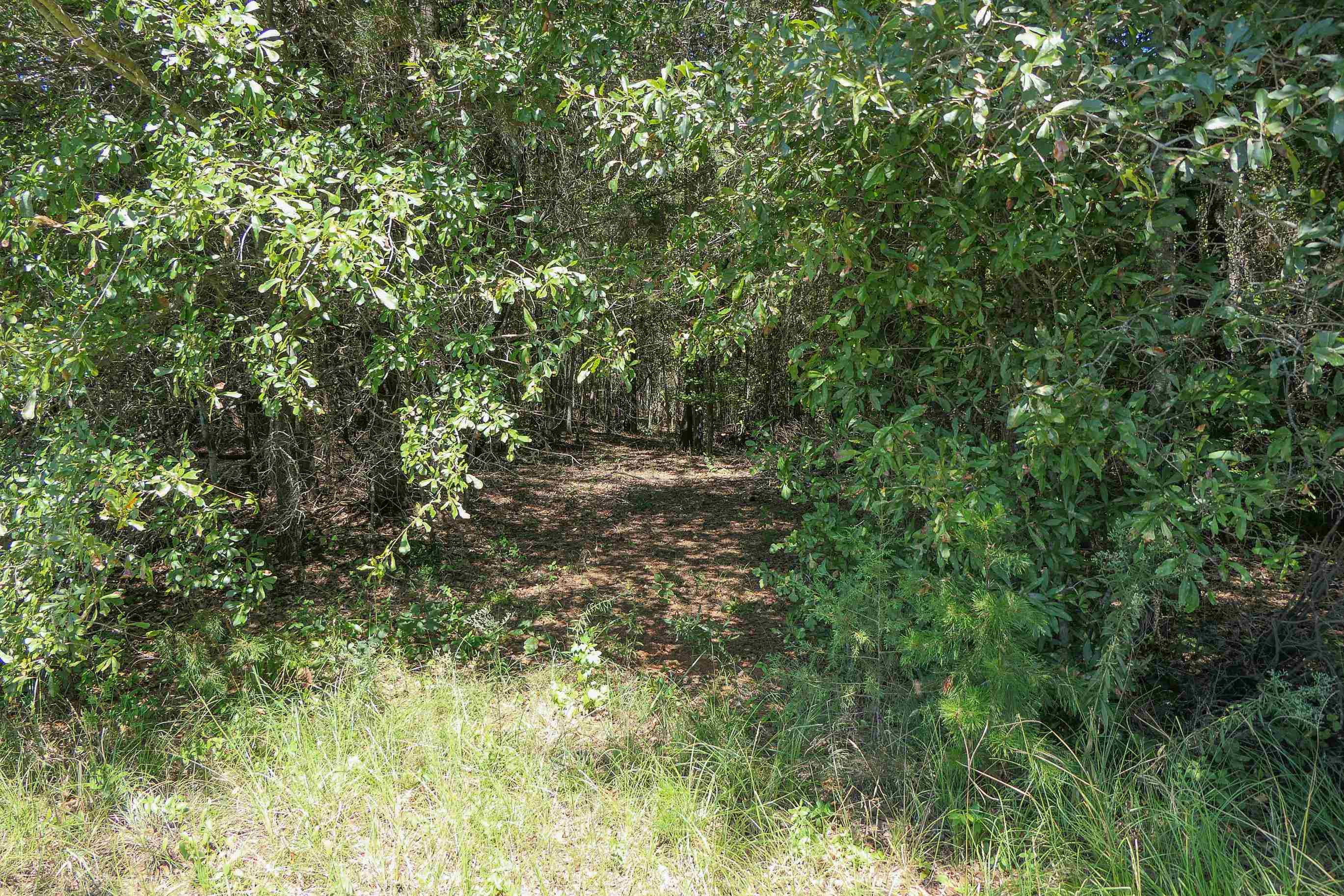 Swofford Drive Gaffney, SC 29341 - Photo 6 of 19