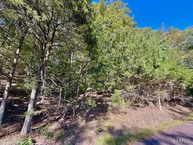 $6,000 | 2159 North Lake Sherwood Drive, Lake Sherwood, MO 63357