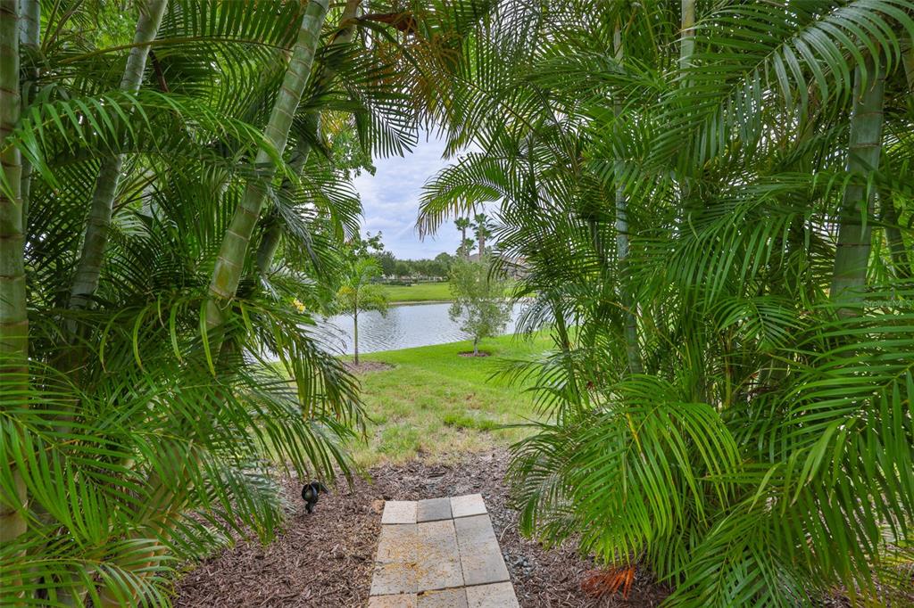 5305 Moon Shell Drive Apollo Beach, FL 33572 - Photo 41 of 62