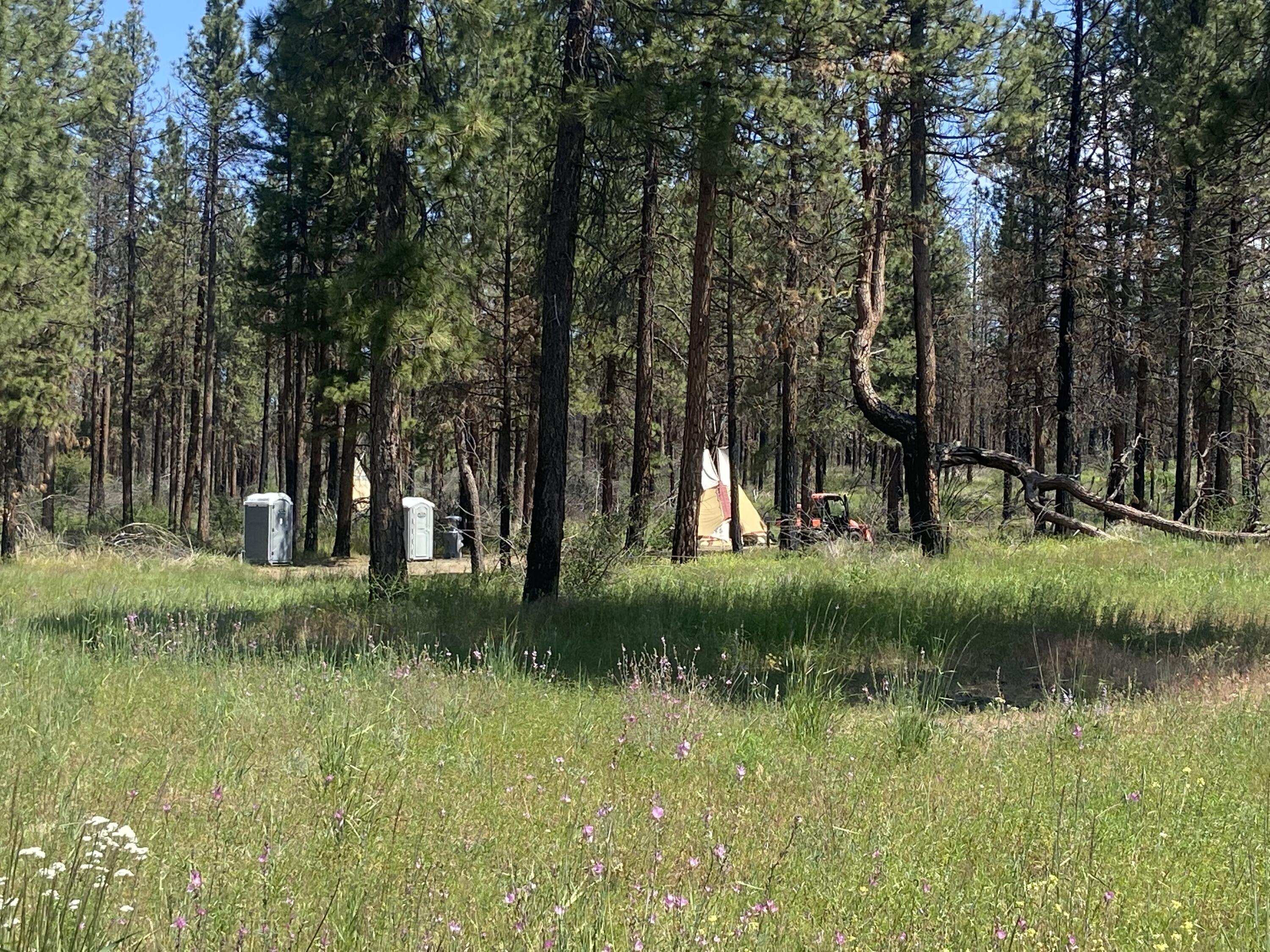0 Oregon 62 Chiloquin, OR 97624 - Photo 22 of 42