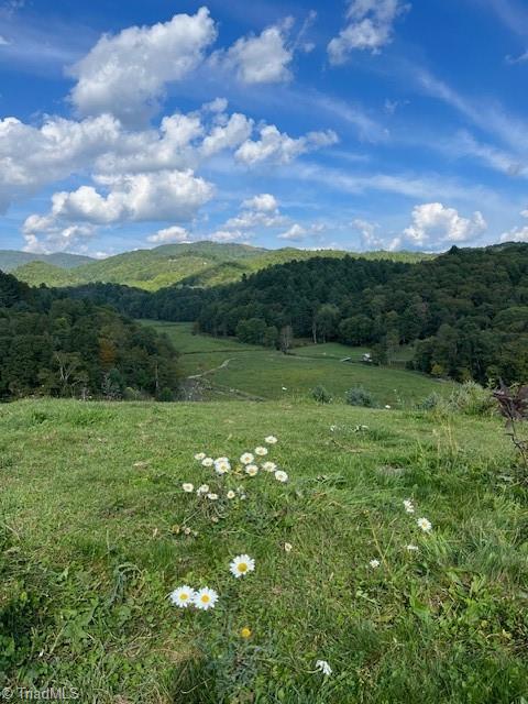 0 Flatwoods Post Office Road Creston, NC 28615 - Photo 23 of 27