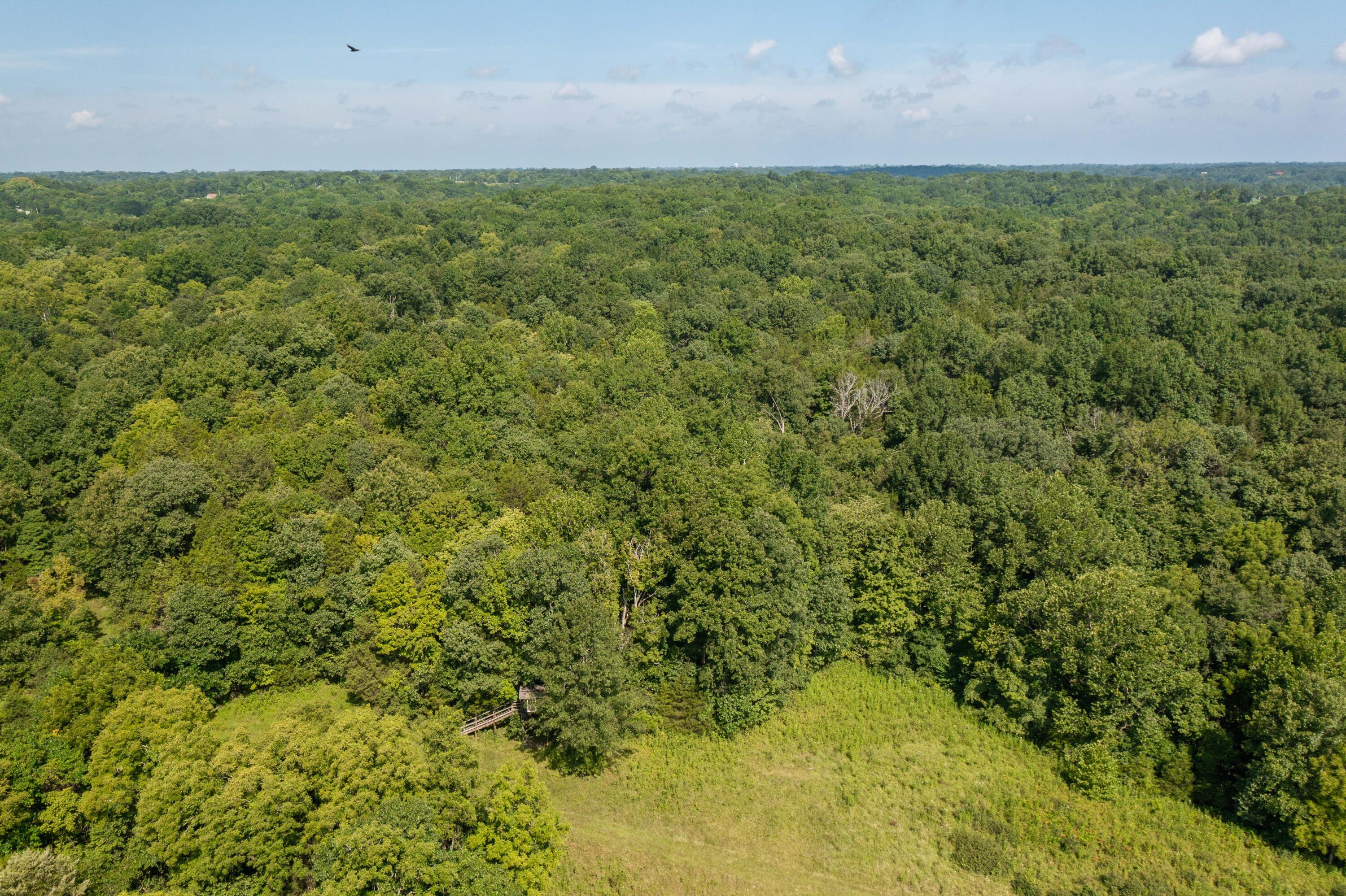 B B Beechridge Road Frankfort, KY 40601 - Photo 7 of 10 Beechridge-19