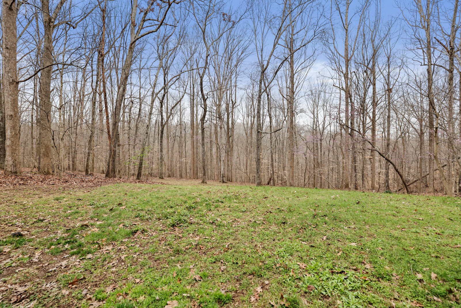 7695 Wilkinson Road Joelton, TN 37080 - Photo 62 of 95 Gallery Image 62