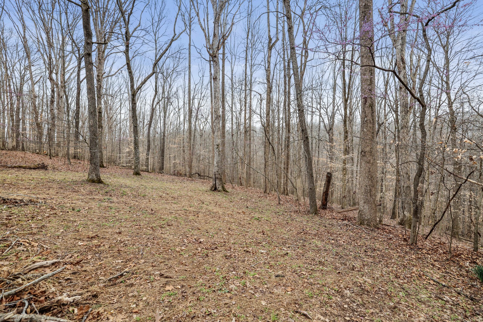 7695 Wilkinson Road Joelton, TN 37080 - Photo 65 of 95 Gallery Image 65