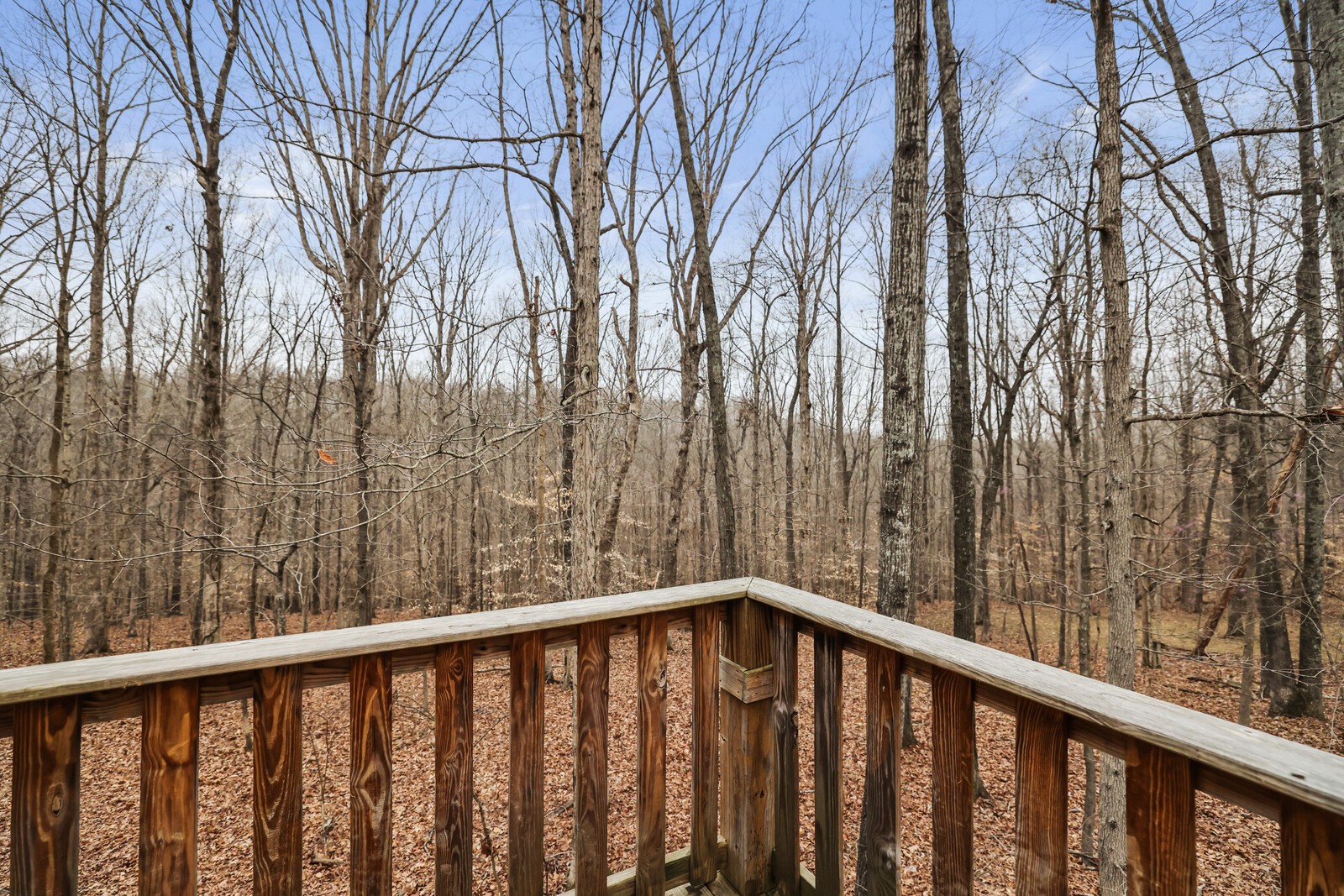 7695 Wilkinson Road Joelton, TN 37080 - Photo 84 of 95 Gallery Image 84