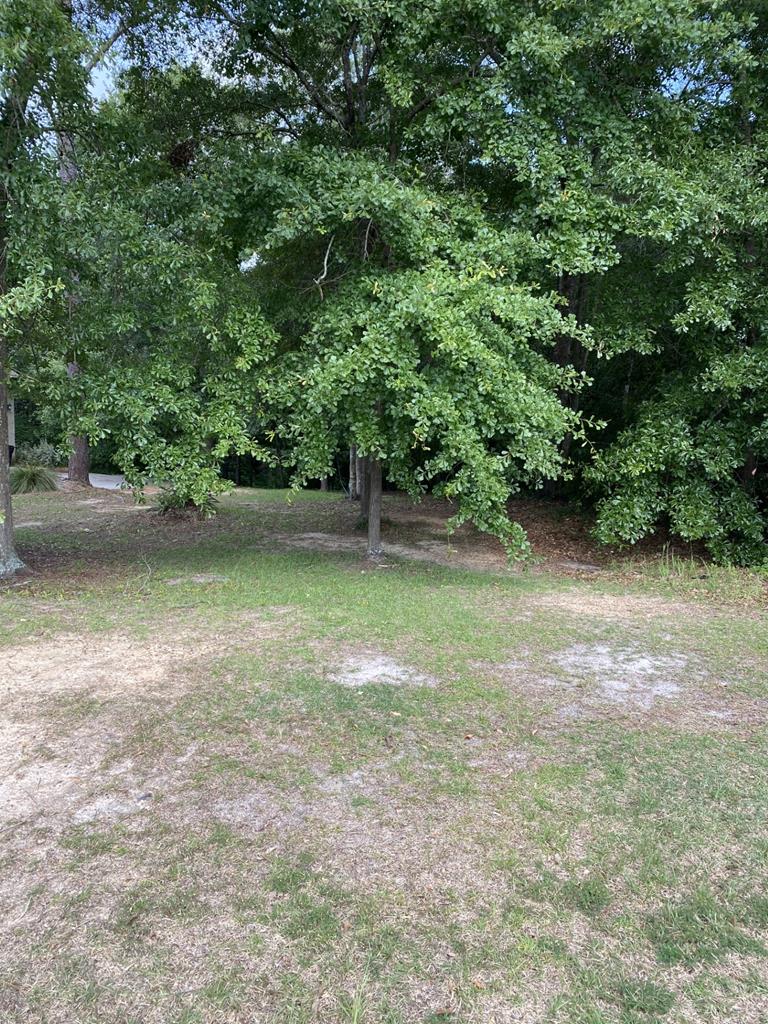 110 Riveredge Court Headland, AL 36345 - Photo 4 of 8
