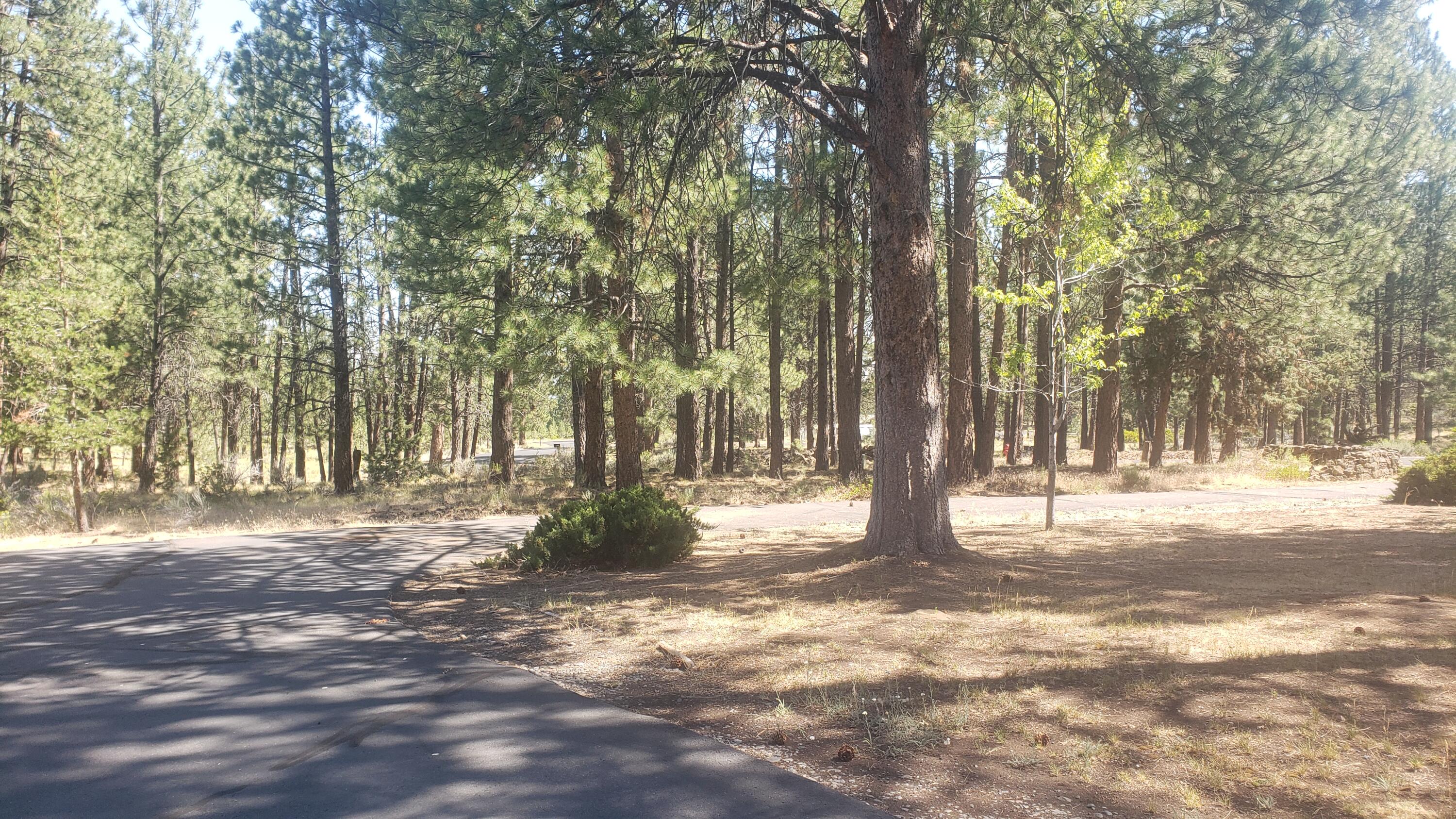 60305 Woodside Road Bend, OR 97702 - Photo 3 of 35 20250723_105457