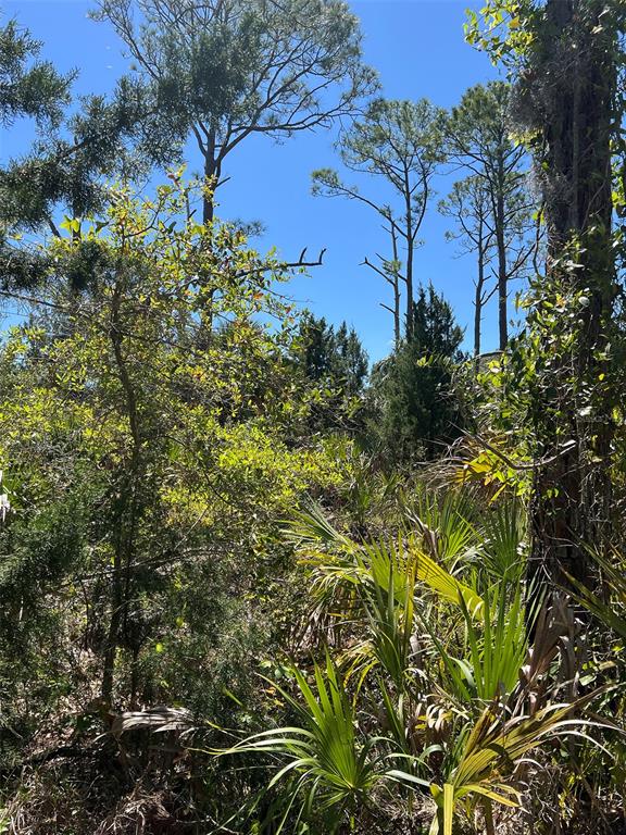 Rye Key Cedar Key, FL 32625 - Photo 4 of 19