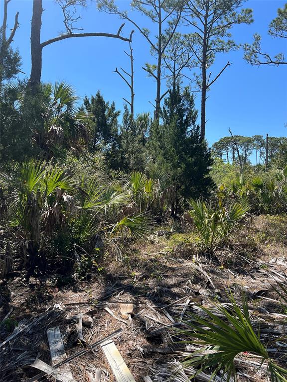 Rye Key Cedar Key, FL 32625 - Photo 5 of 19