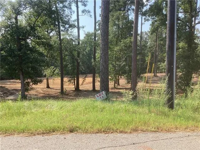 $62,500 | 0 Amelia Drive, Boyce, LA 71409