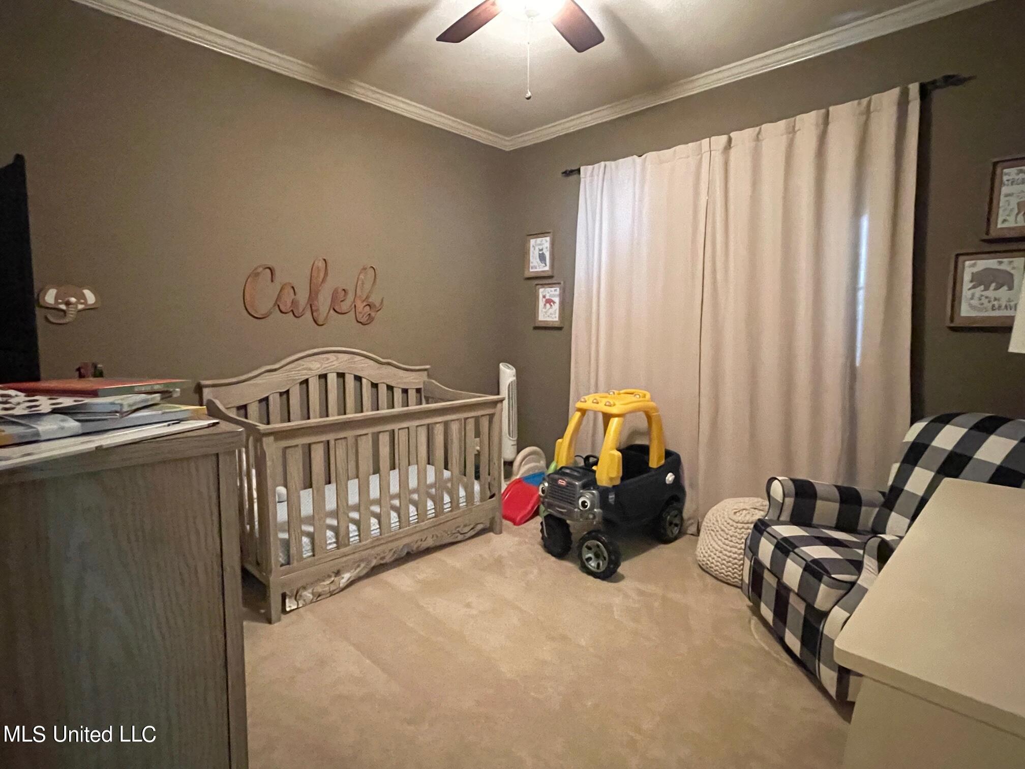 198 Bradfield Road Madison, MS 39110 - Photo 21 of 25 IMG_4987