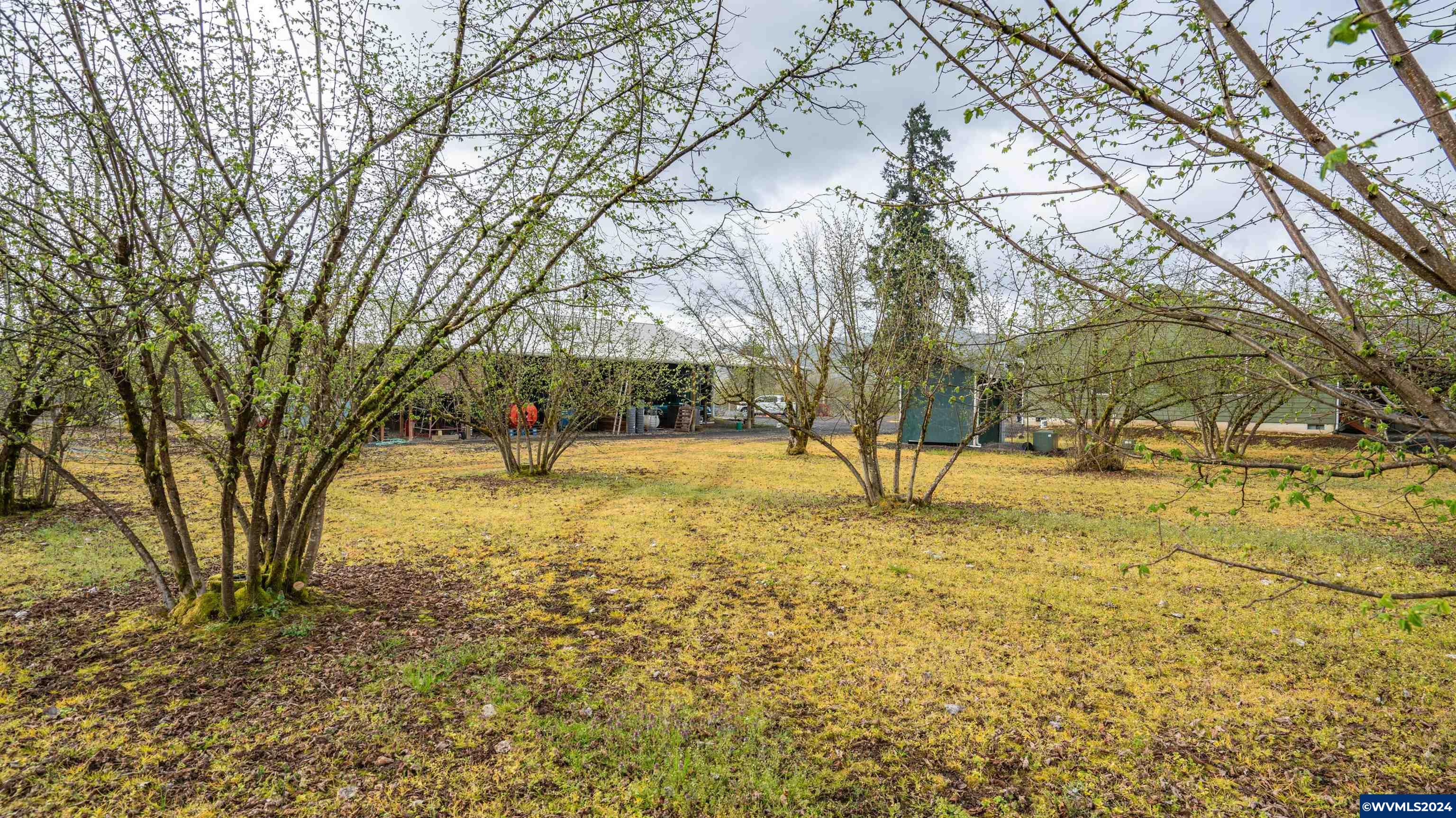37082 Goats Road Springfield, OR 97478 - Photo 34 of 35