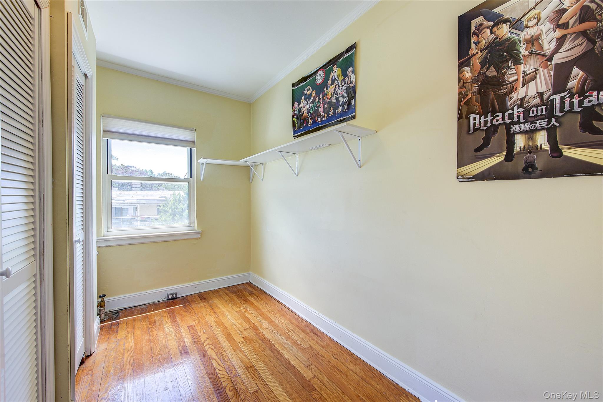 85-62 66th Road Queens, NY 11374 - Photo 34 of 43
