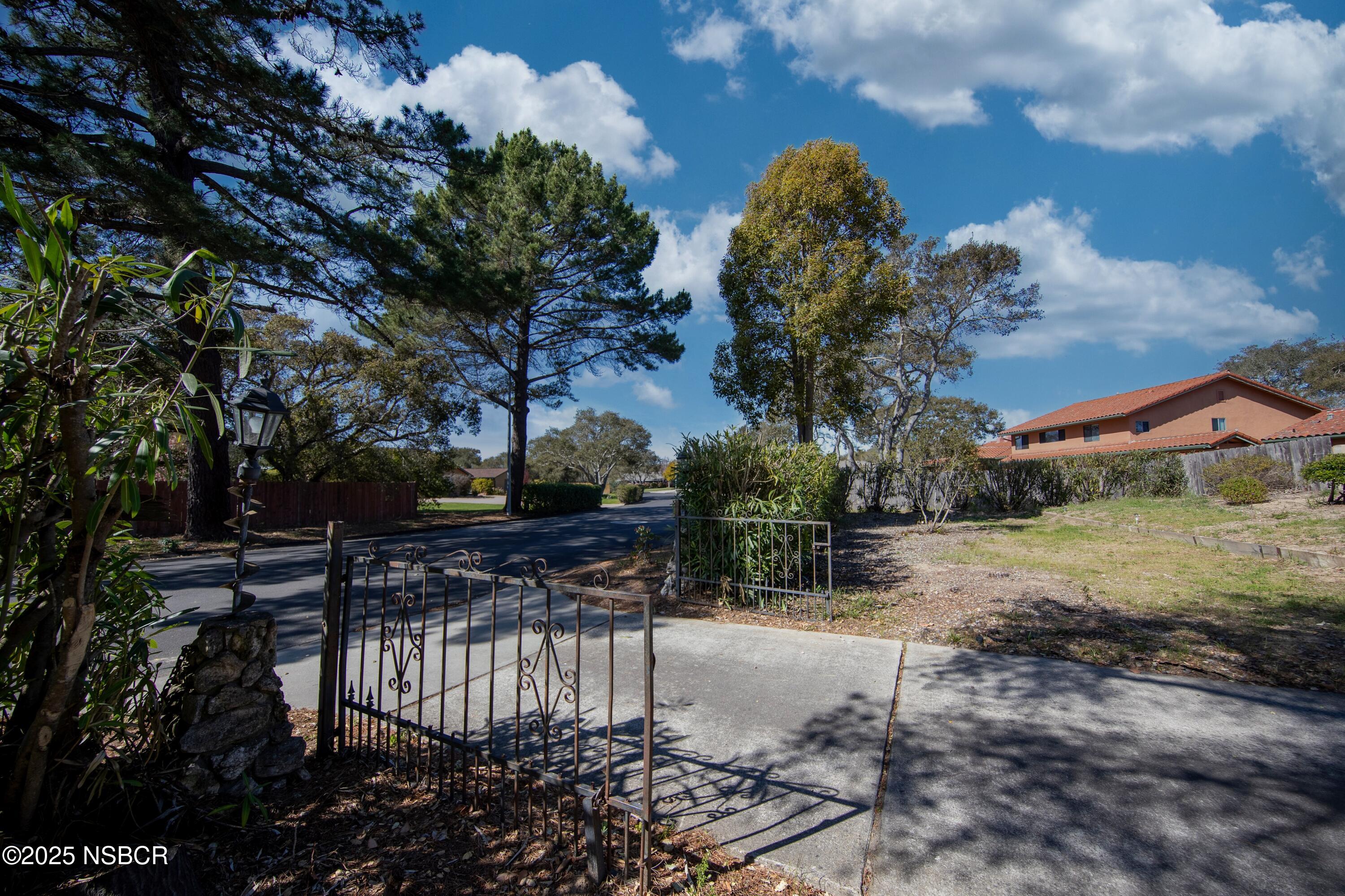 3118 Pellham Drive Lompoc, CA 93436 - Photo 13 of 56 a view of a yard with plants and large trees