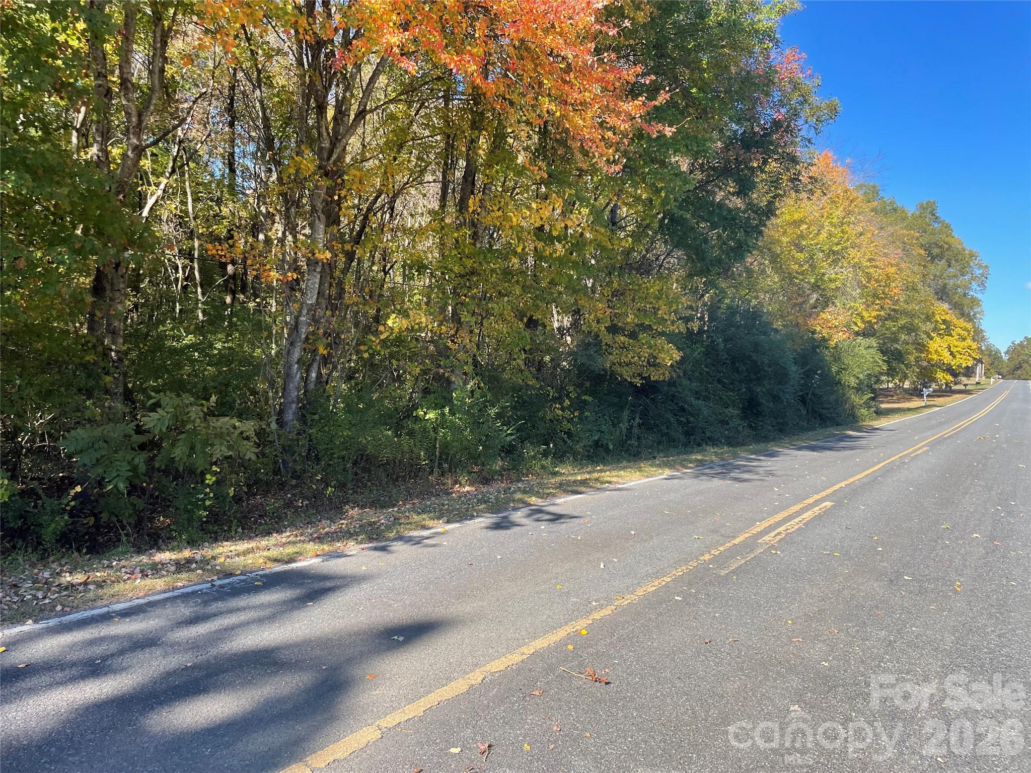 a view of a road with a trees