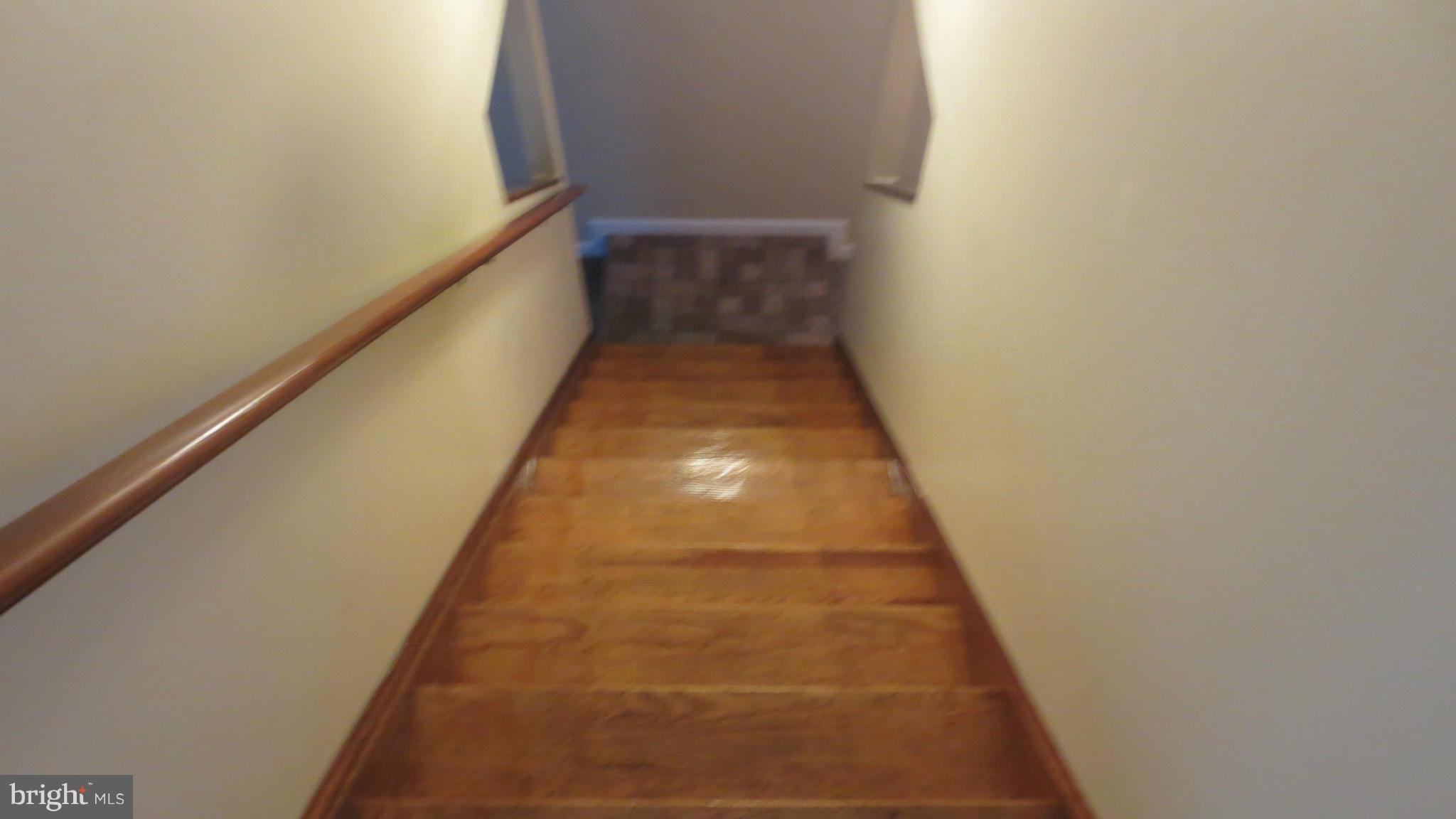 21911 Whites Ferry Road Dickerson, MD 20842 - Photo 20 of 30 Lower level stairs