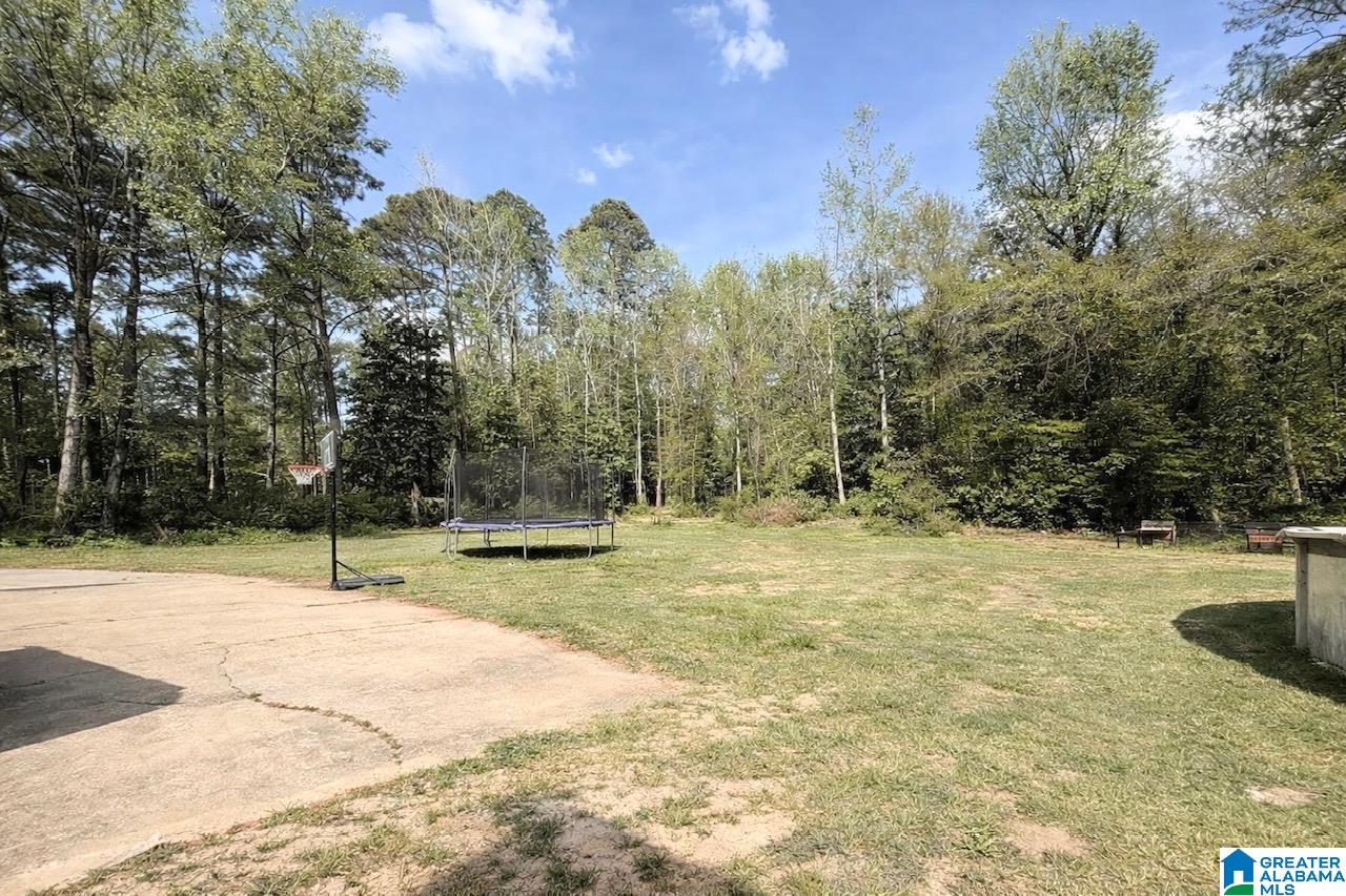 1304 Lay Dam Road Clanton, AL 35045 - Photo 2 of 13