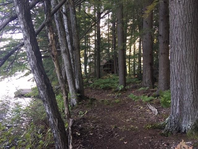 294 Timber Point Road Belgrade, ME 04917 - Photo 37 of 46 Timber 42