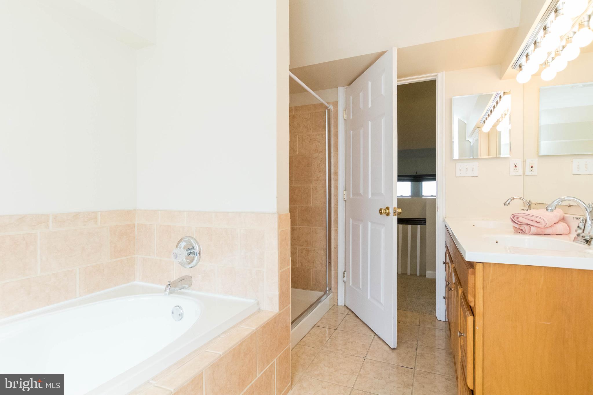 5318 Catalpha Road Baltimore, MD 21214 - Photo 19 of 27 Soaker Tub and Separate Shower