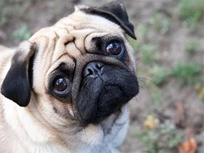 $3,089 | 37 East Ridge Drive, Unit 3, Milford, NH 03055