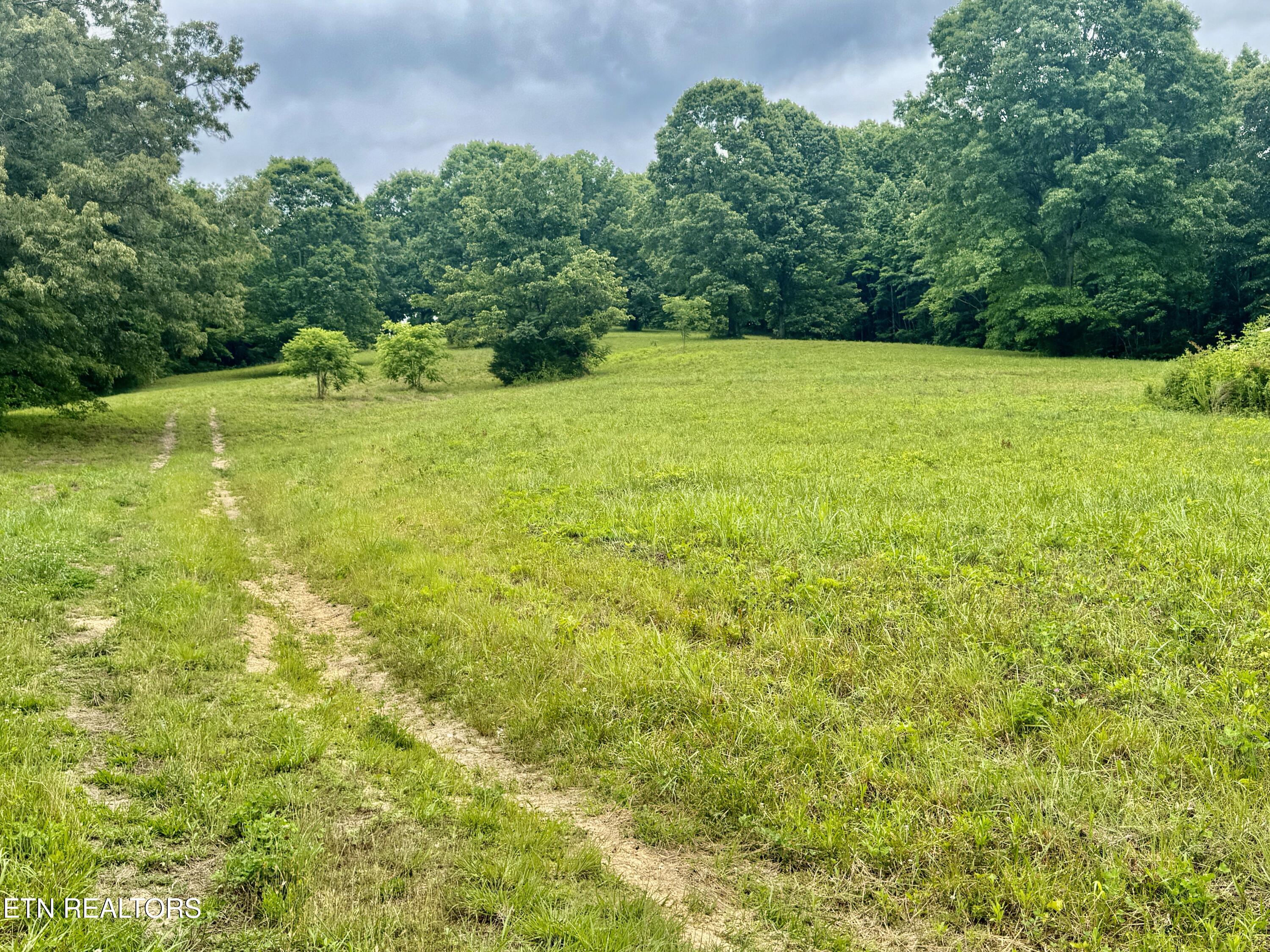 378 Johnson Hollow Road New Tazewell, TN 37825 - Photo 4 of 35 1-4