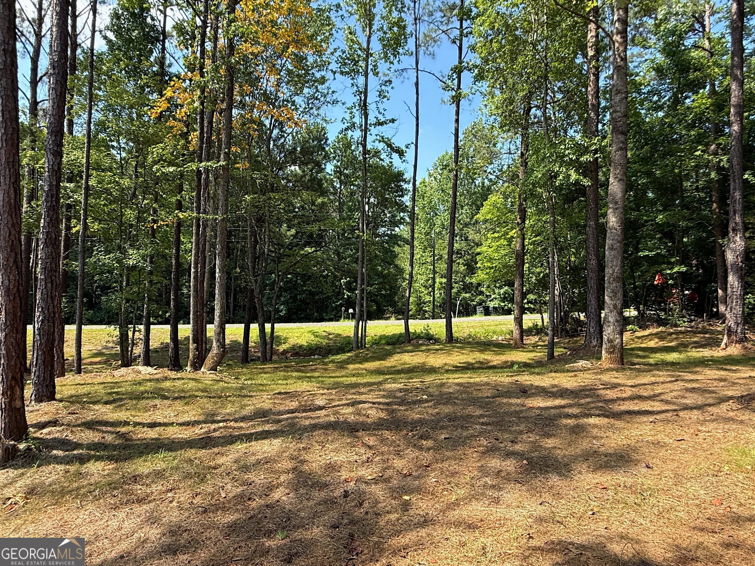 245 Lake Talbot Road Box Springs, GA 31801 - Photo 29 of 31