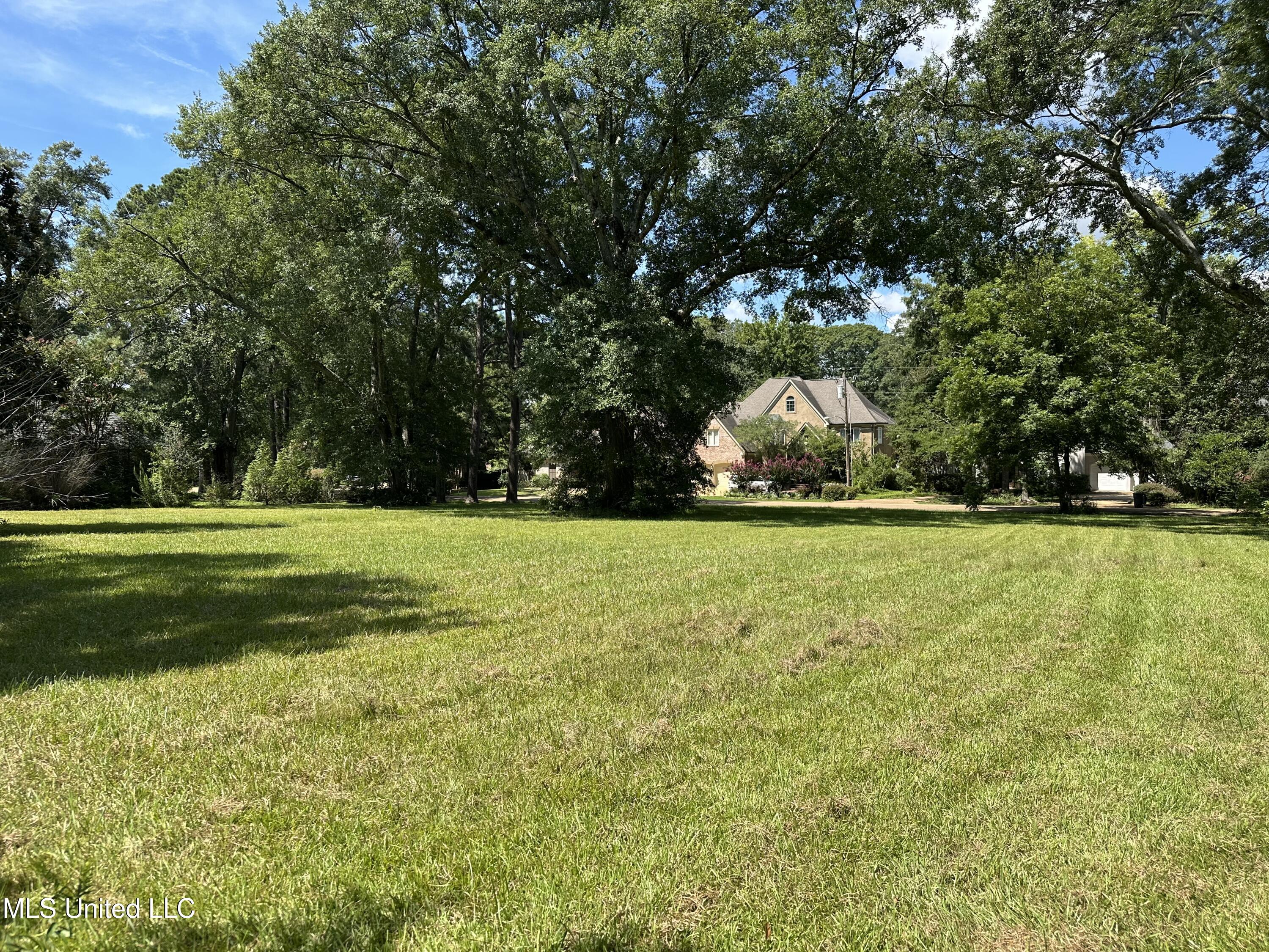 4638 Maurey Road Jackson, MS 39211 - Photo 4 of 6 4