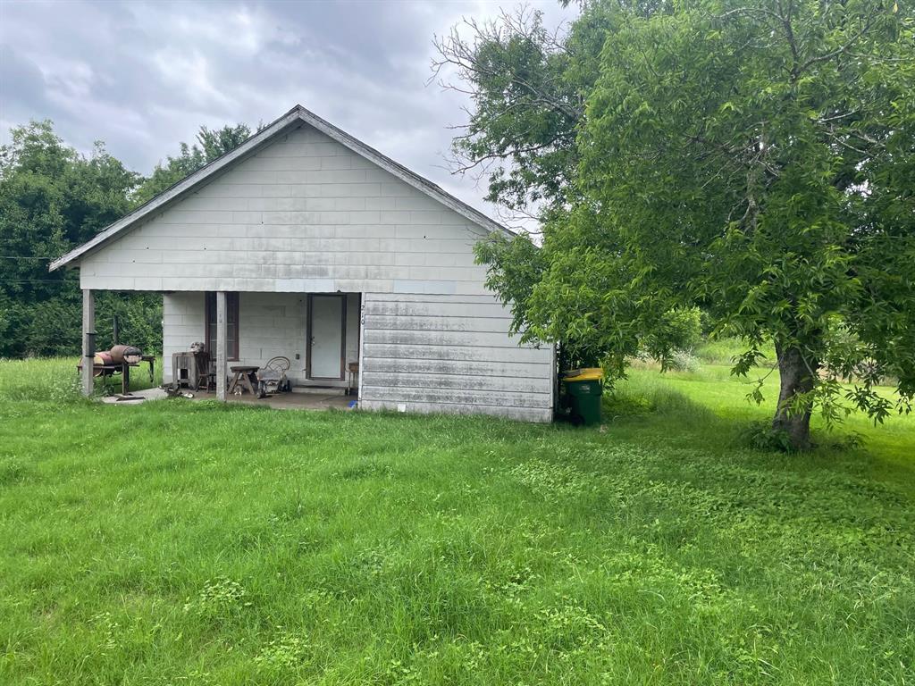 a view of a backyard with plants and large tree