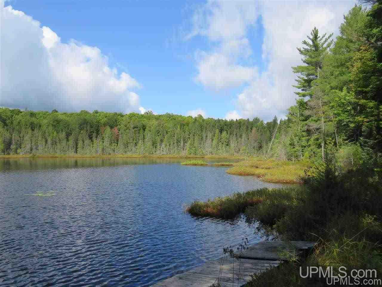 Tbd Off Lake On Three Road Trout Creek, MI 49967 - Photo 15 of 50