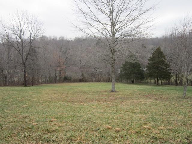 375 Defeated Creek Road Centerville, TN 37033 - Photo 14 of 20 Gallery Image 14