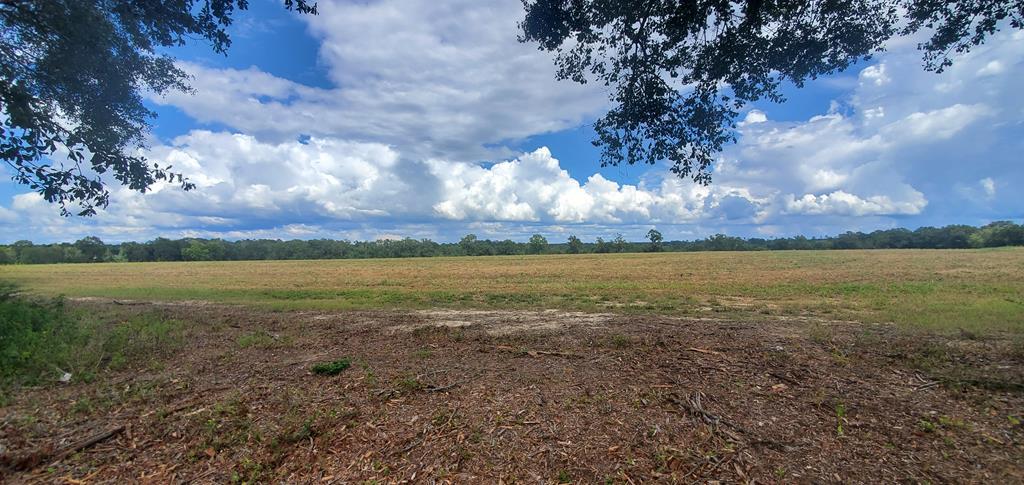 8.9-acre Pea Market Road Columbia, AL 36319 - Photo 1 of 1