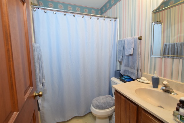 976 Lewis Road Geneva, IL 60134 - Photo 11 of 18 a bathroom with a sink a toilet and shower curtain