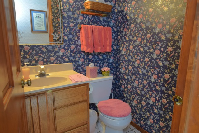 976 Lewis Road Geneva, IL 60134 - Photo 13 of 18 a bathroom with a sink and a toilet