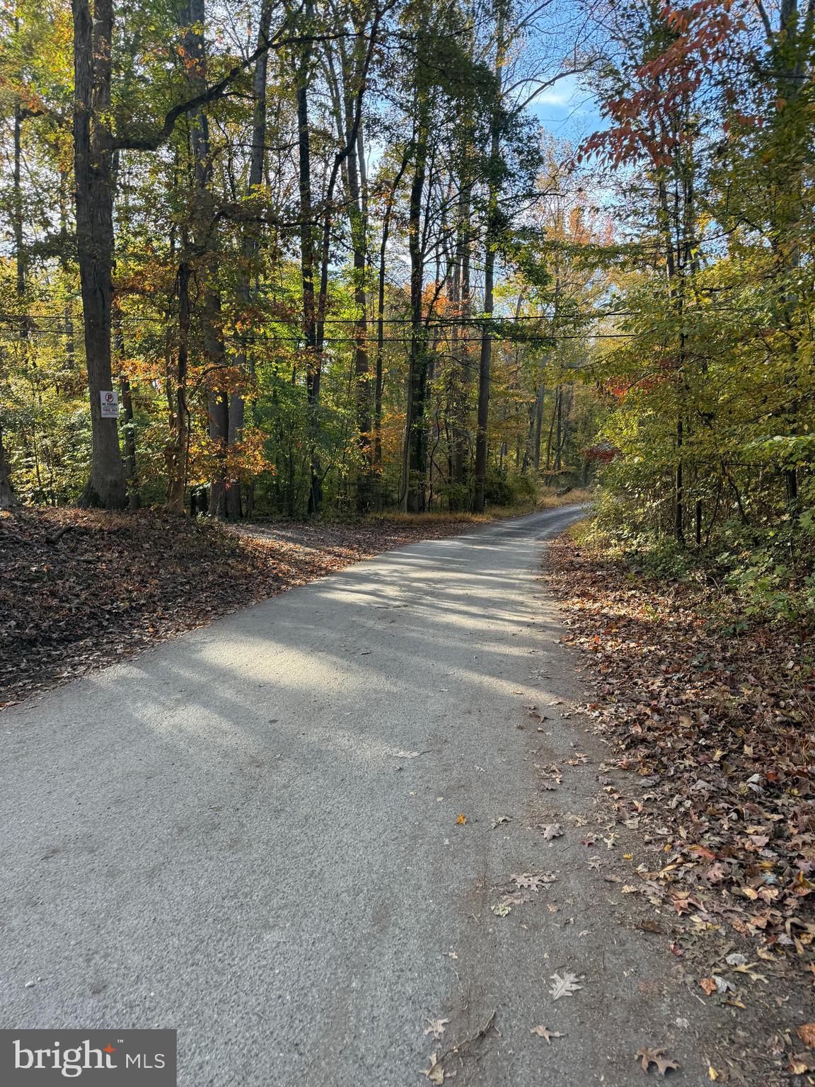 12921 Fletchertown Road Bowie, MD 20720 - Photo 6 of 11 a view of a yard with plants and trees