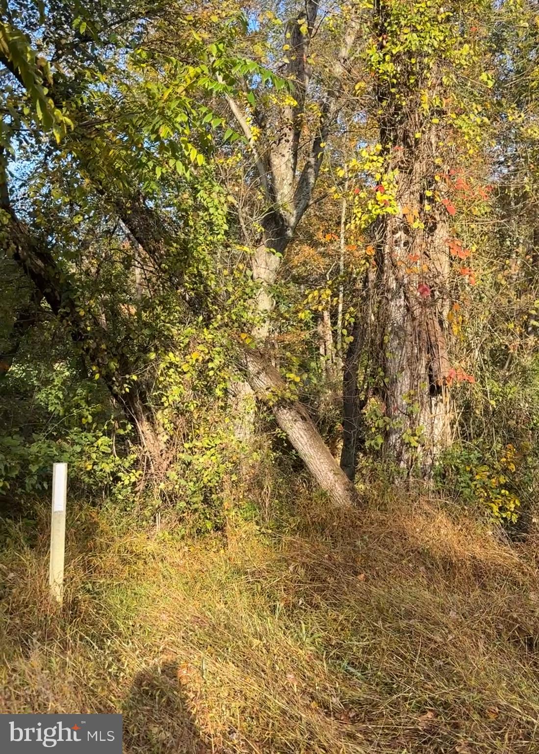 12921 Fletchertown Road Bowie, MD 20720 - Photo 7 of 11