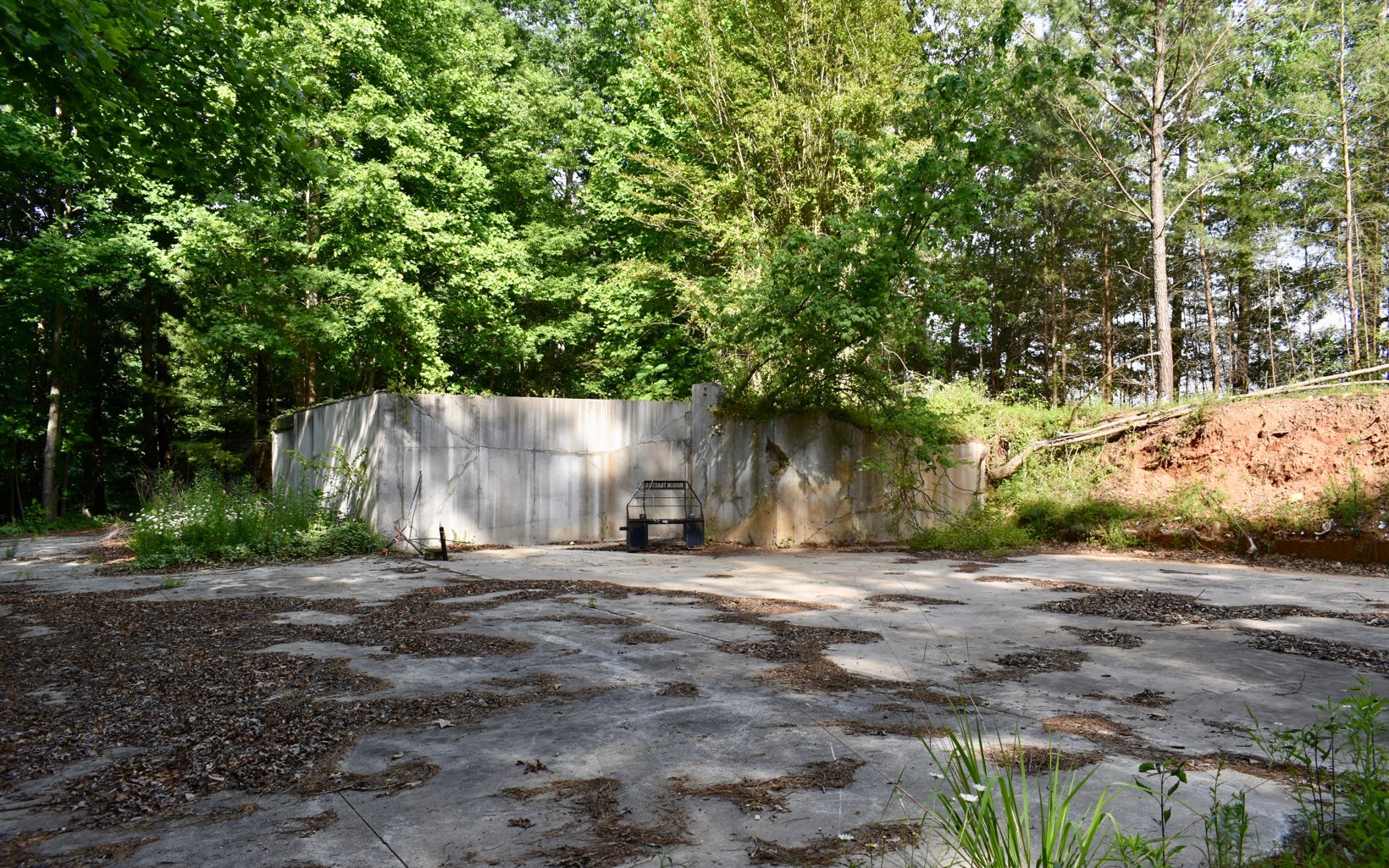 1621 Weeks Road Ellijay, GA 30540 - Photo 4 of 4 Additional View