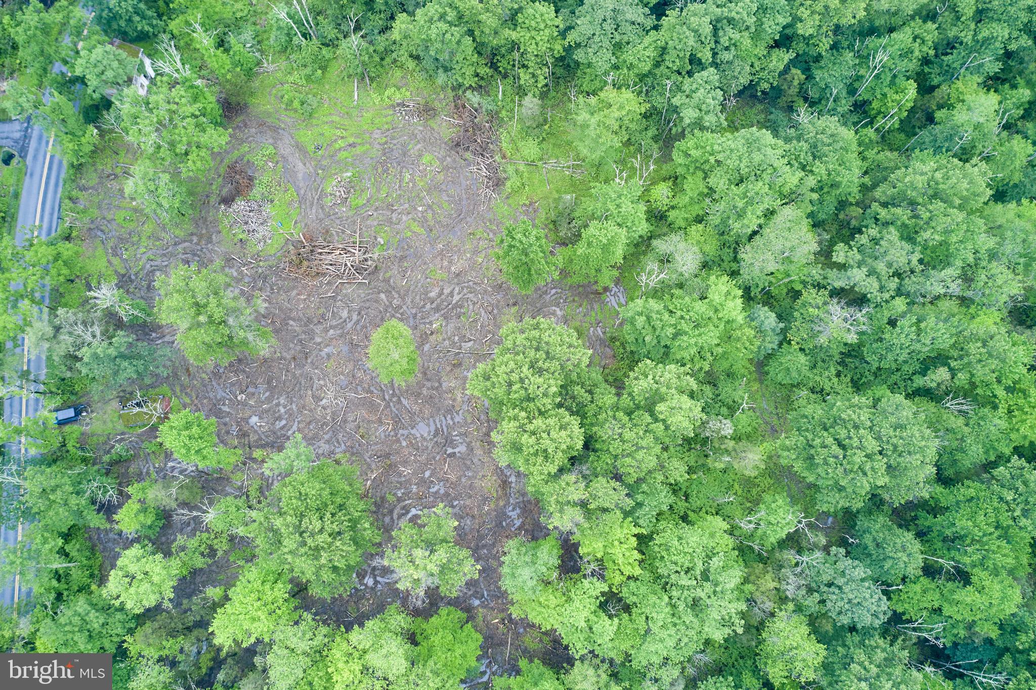 3051 Bursonville Road Riegelsville, PA 18077 - Photo 3 of 14 a view of a garden with lots of trees