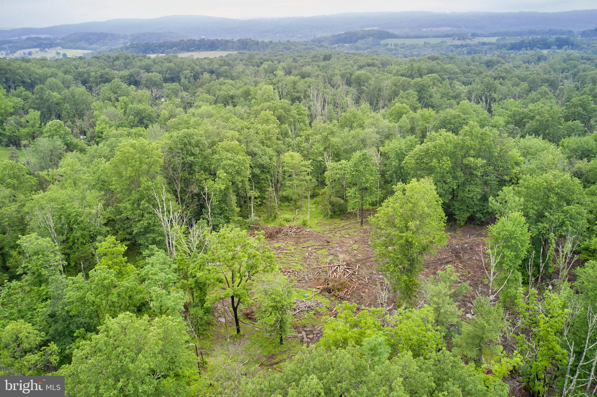 3051 Bursonville Road Riegelsville, PA 18077 - Photo 10 of 14 a view of a lush green forest with trees and some plants