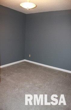 10292 Chayla Road Marion, IL 62959 - Photo 18 of 29