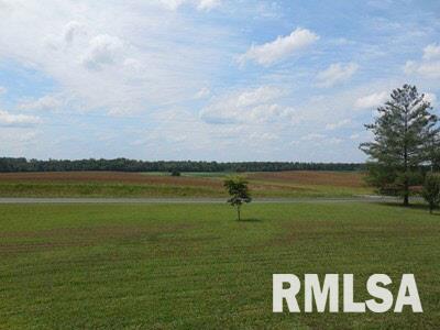 10292 Chayla Road Marion, IL 62959 - Photo 4 of 29