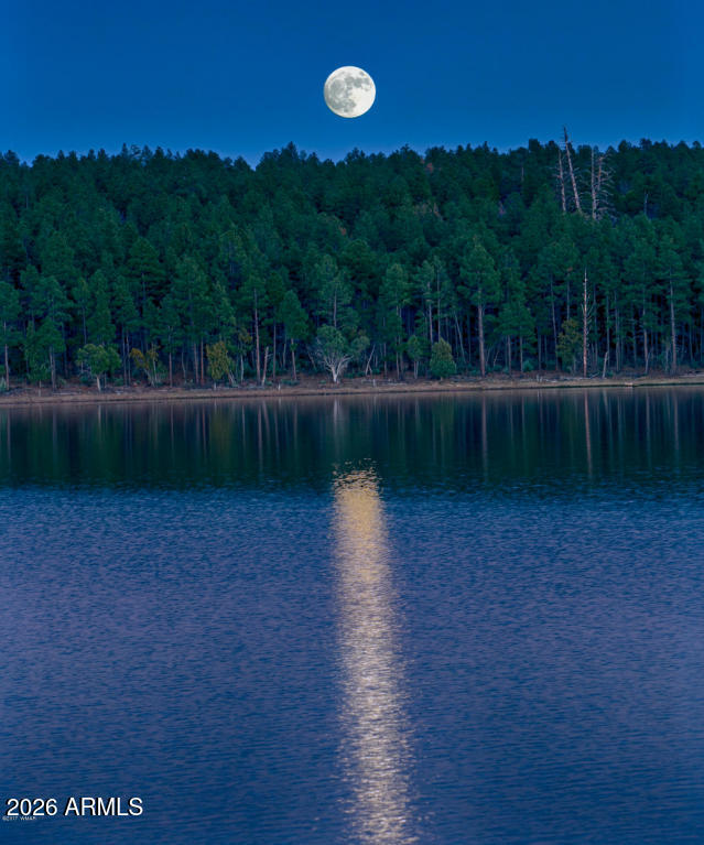 507 North Skylane Road Pinetop, AZ 85935 - Photo 40 of 52 Beautiful full moon with lake reflection