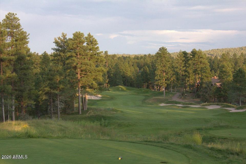 507 North Skylane Road Pinetop, AZ 85935 - Photo 43 of 52 Golfing 7 golf courses in the White Moun