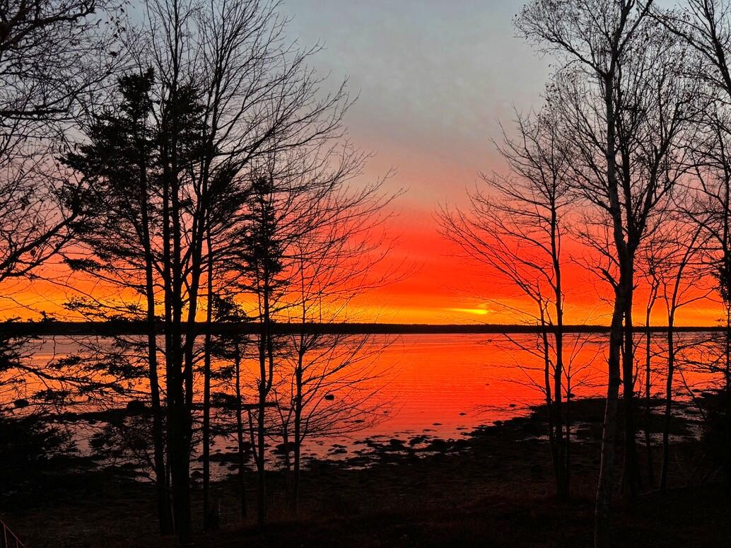 515 Paul Bunyan Road Corea, ME 04624 - Photo 50 of 52
