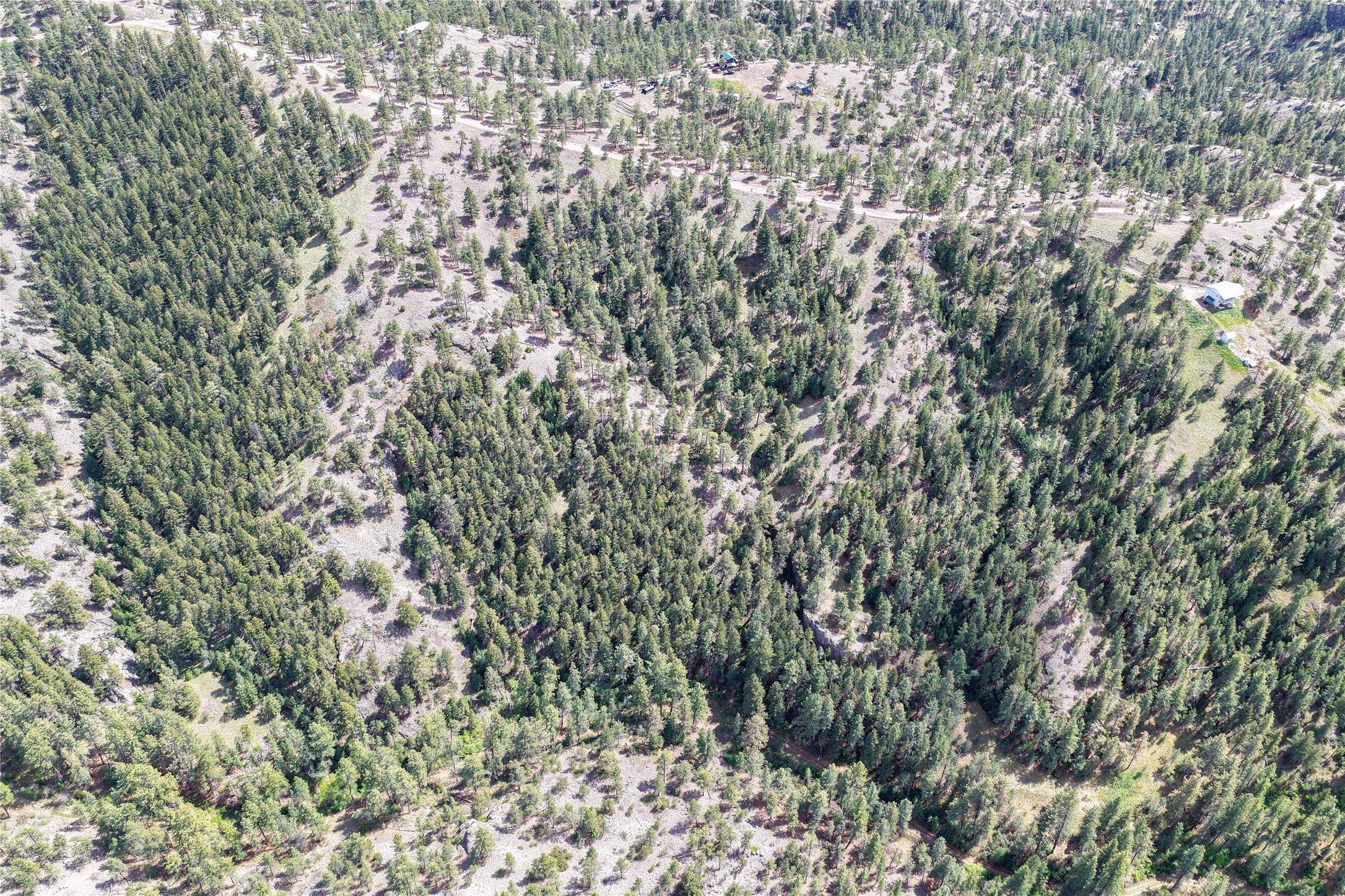 Tbd Dearborn River Road Cascade, MT 59421 - Photo 11 of 23 Gallery Image 11