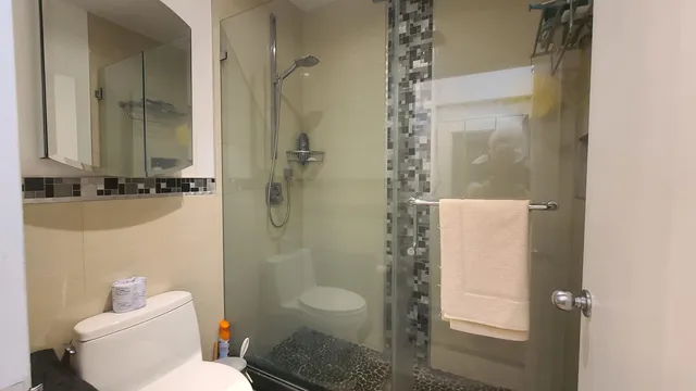 a bathroom with a toilet and a shower