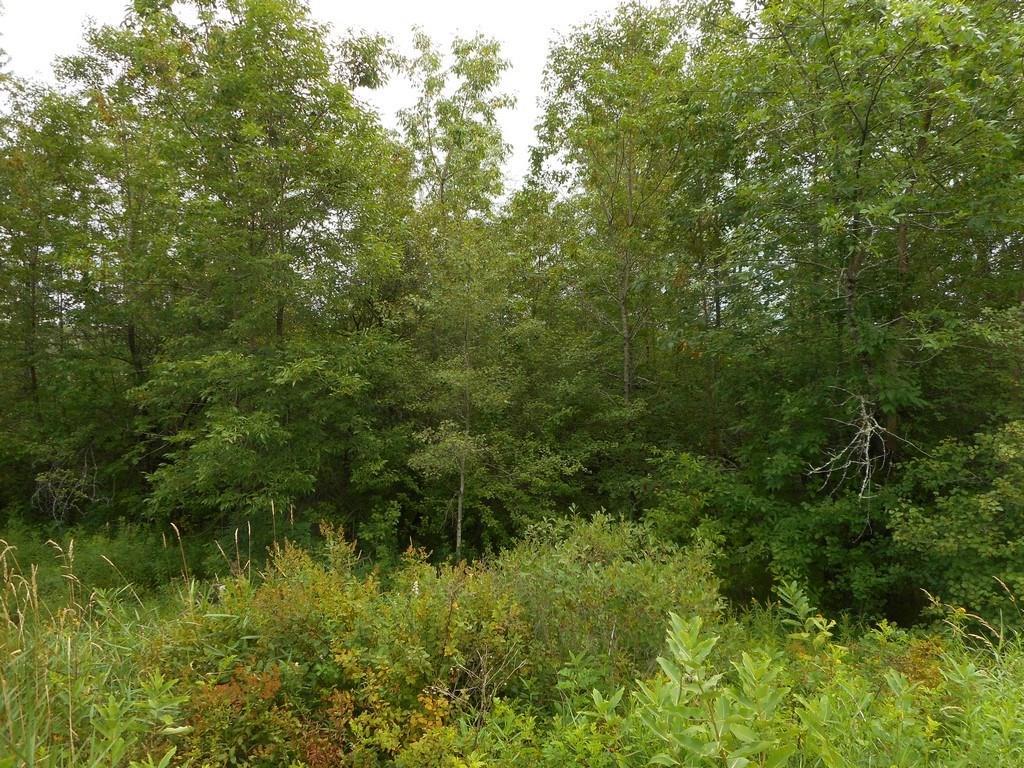 2 French Settlement Road Milford, ME 04461 - Photo 9 of 16 Photo
